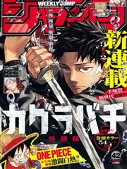 回声管理员漫画封面卡